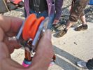 Cliquer pour agrandir